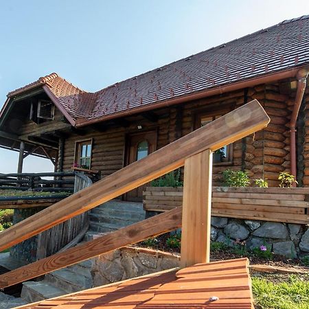 Апартаменты Zidan'Ca Rosel Доленьске-Топлице Экстерьер фото