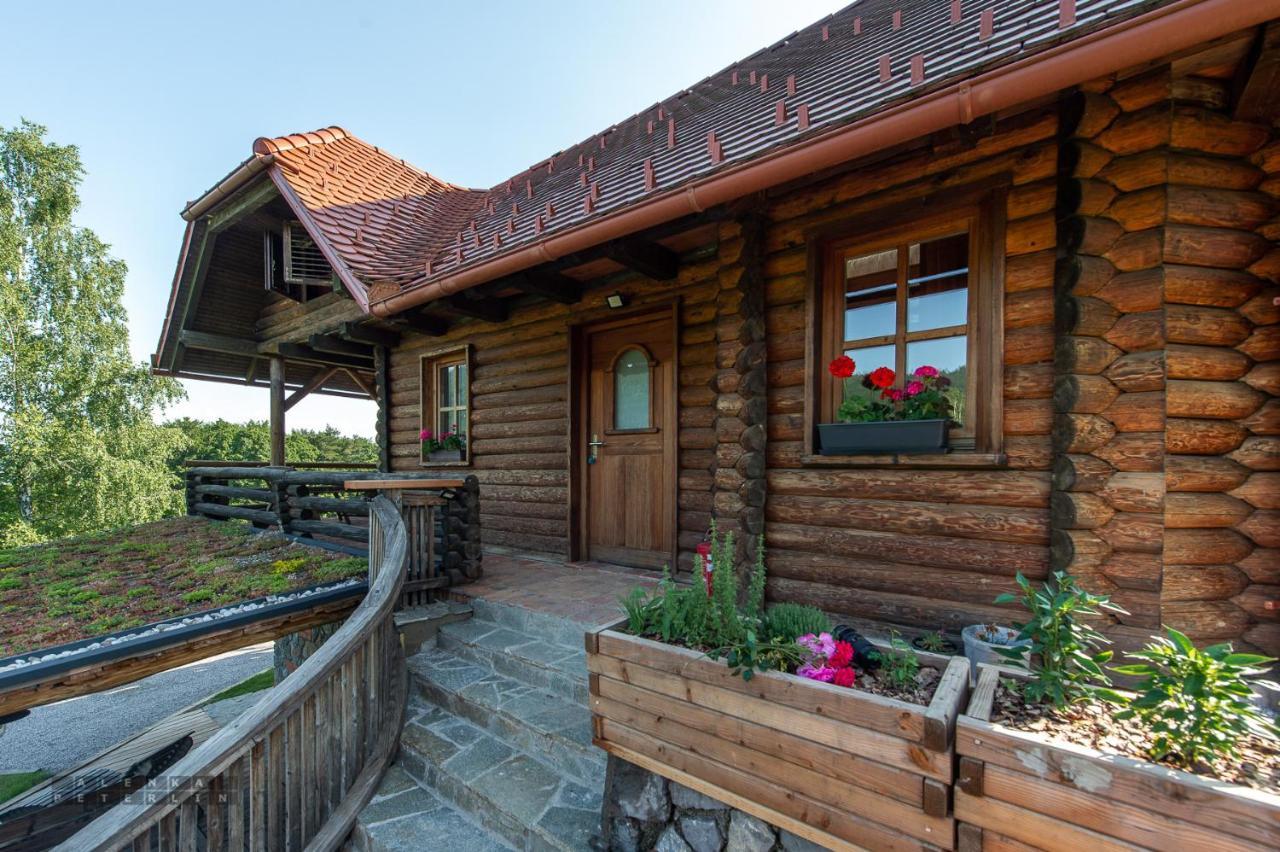 Апартаменты Zidan'Ca Rosel Доленьске-Топлице Экстерьер фото